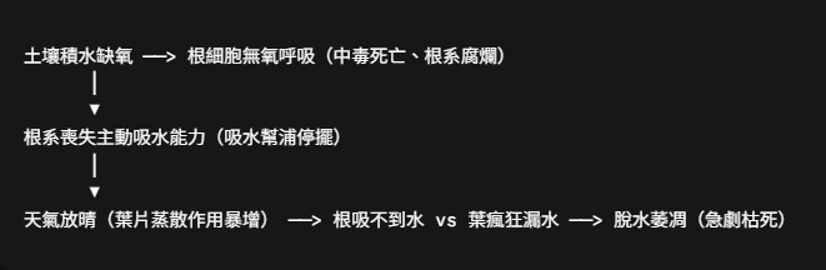 果菜、果樹-作物積水後急救 image